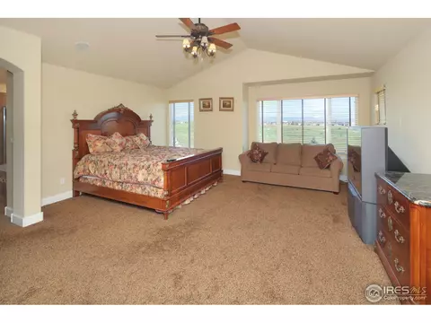 5445 Peak View Ct, Windsor, CO 80550 photo 10