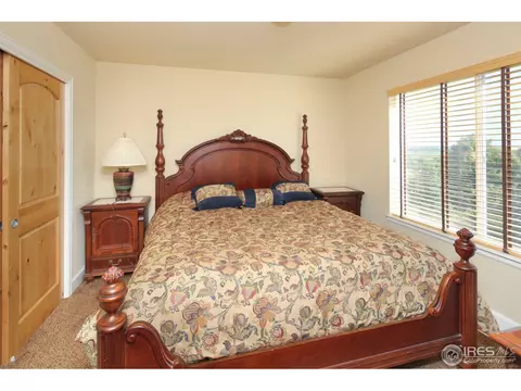 5445 Peak View Ct, Windsor, CO 80550 photo 13