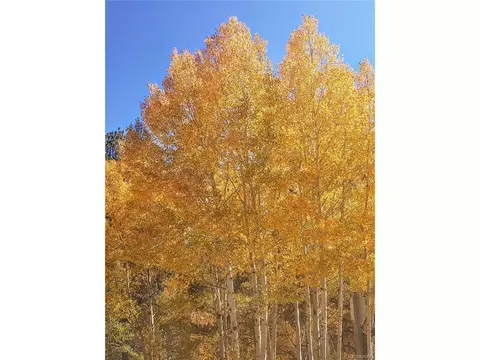 Undisclosed, Divide, CO 80814 photo 40