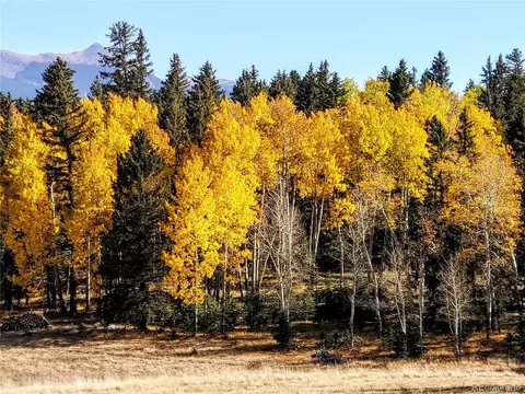 Undisclosed, Divide, CO 80814 photo 39