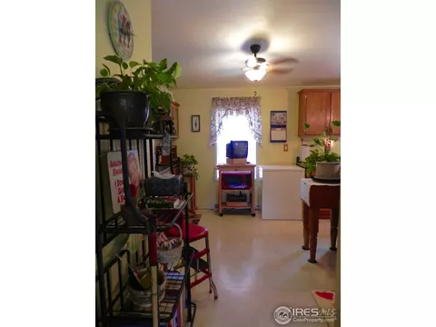 237 Quartz Rd, Black Hawk, CO 80422 photo 8
