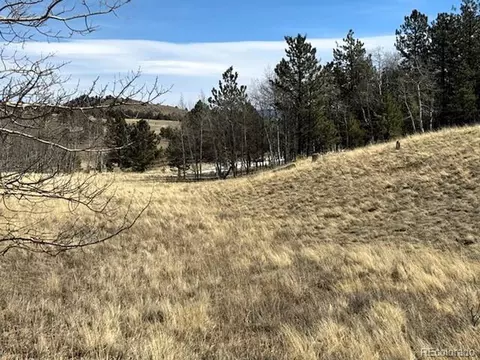 1931 Campfire Rd, Hartsel, CO 80449