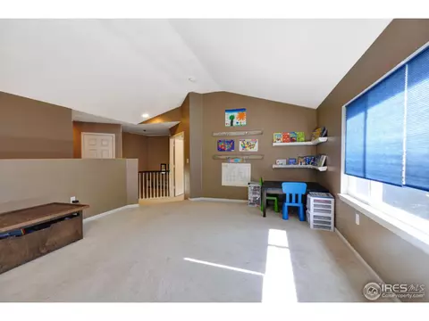 10270 Echo Cir, Firestone, CO 80504 photo 17