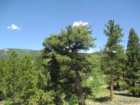 22 Aspen Ln, Black Hawk, CO 80422 photo 18