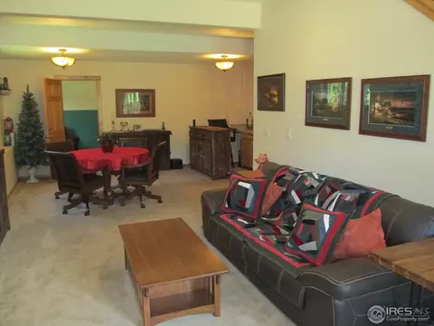 22 Aspen Ln, Black Hawk, CO 80422 photo 13