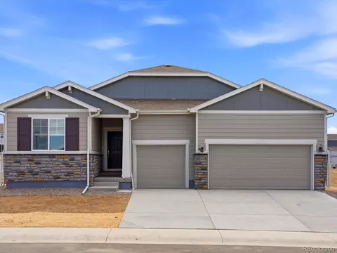 1614 Nathan River Dr, Windsor, CO 80550
