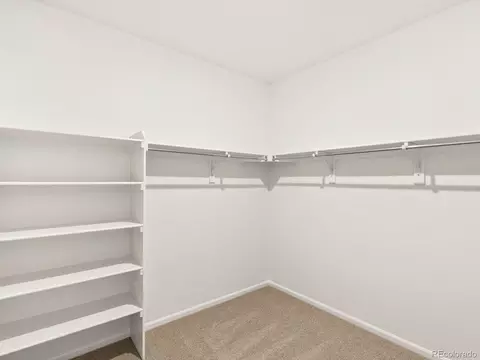Other - 1614 Nathan River Dr, Windsor, CO 80550 photo 4 of 4