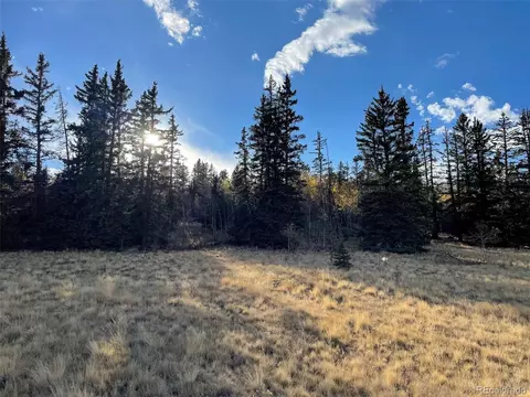 107 Warpath Rd, Como, CO 80432 photo 4