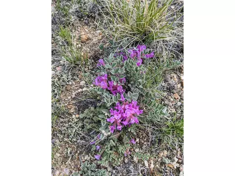 464 Sioux Rd, Hartsel, CO 80449 photo 6