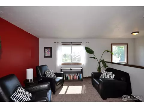 122 Sunflower Dr, Windsor, CO 80550 photo 11
