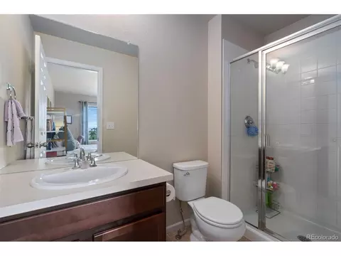 6503 Snow Bank Dr, Timnath, CO 80547 photo 34