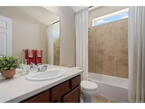 6503 Snow Bank Dr, Timnath, CO 80547 photo 24