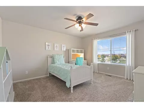 6503 Snow Bank Dr, Timnath, CO 80547 photo 35