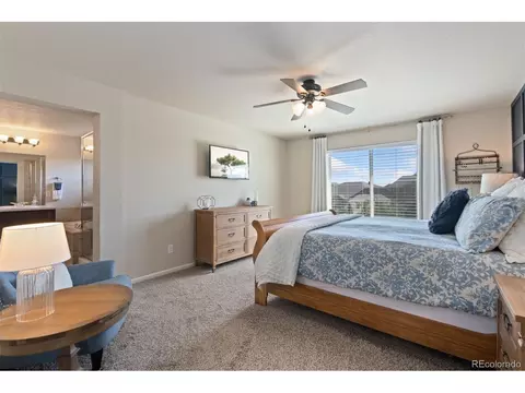 6503 Snow Bank Dr, Timnath, CO 80547 photo 29