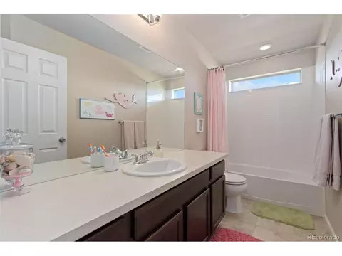 6503 Snow Bank Dr, Timnath, CO 80547 photo 36