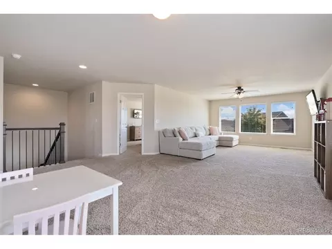 6503 Snow Bank Dr, Timnath, CO 80547 photo 27