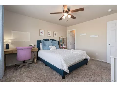 6503 Snow Bank Dr, Timnath, CO 80547 photo 33