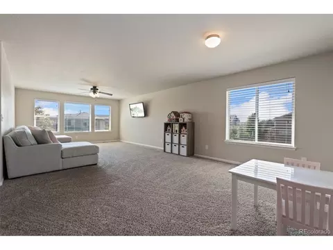 6503 Snow Bank Dr, Timnath, CO 80547 photo 26