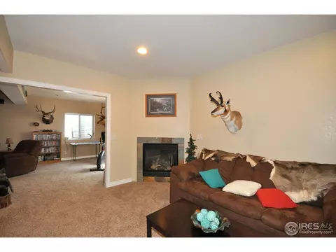 1422 Red Fox Cir, Severance, CO 80550 photo 15
