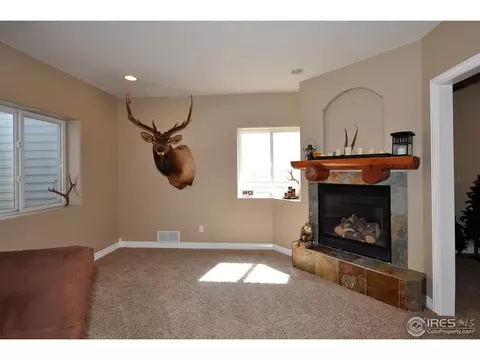 1422 Red Fox Cir, Severance, CO 80550 photo 17