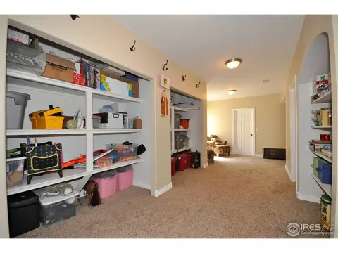 1422 Red Fox Cir, Severance, CO 80550 photo 14