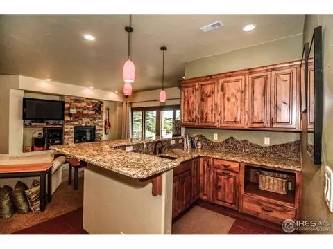 1310 S Park Dr, Monument, CO 80132 photo 21