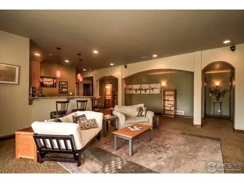 1310 S Park Dr, Monument, CO 80132 photo 22