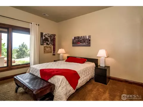 1310 S Park Dr, Monument, CO 80132 photo 19