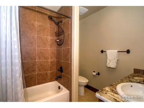1310 S Park Dr, Monument, CO 80132 photo 24