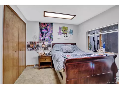 2557 E 124th Pl, Thornton, CO 80241 photo 29