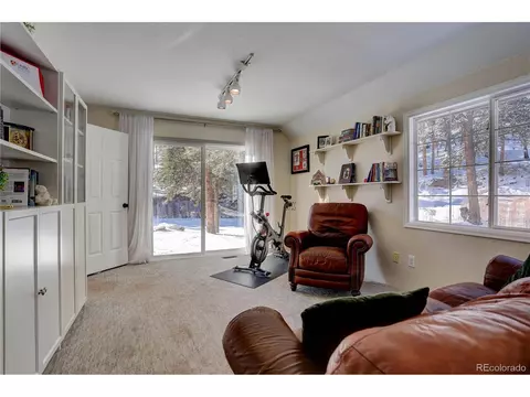 15807 Pine Valley Rd, Pine, CO 80470 photo 22