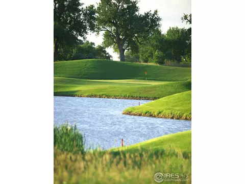 6844 Clovis Ct, Timnath, CO 80547 photo 7