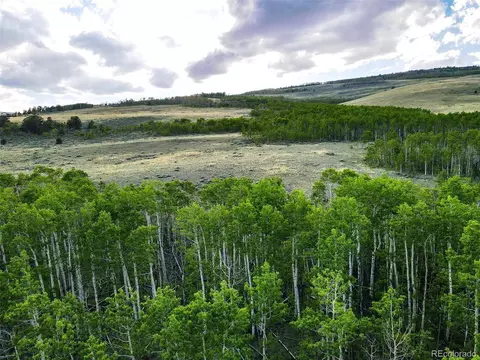 Co Road 5, Fairplay, CO 80440