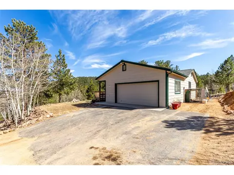 116 Schooley Rd, Bailey, CO 80421 photo 3
