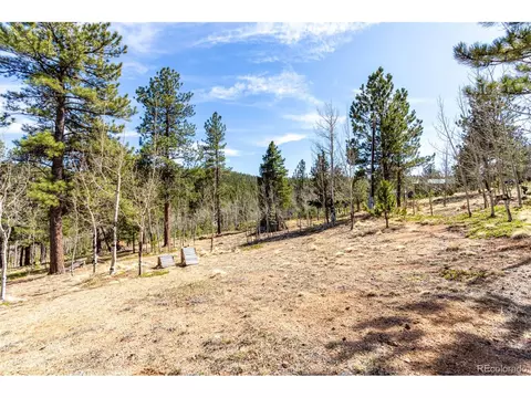116 Schooley Rd, Bailey, CO 80421 photo 50