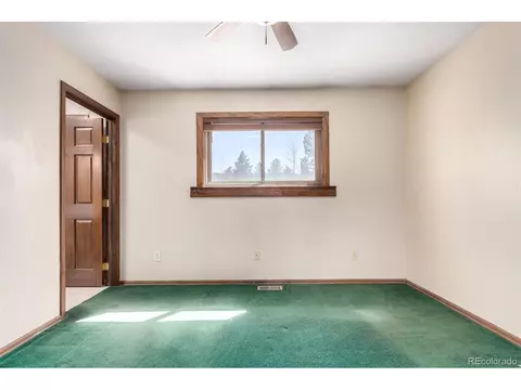 116 Schooley Rd, Bailey, CO 80421 photo 30