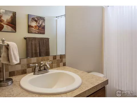 6952 Fireside Dr, Timnath, CO 80547 photo 22