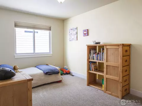 6952 Fireside Dr, Timnath, CO 80547 photo 20