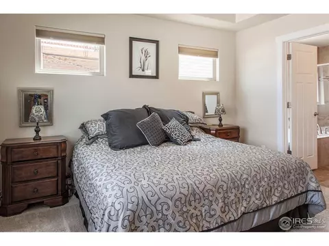 6952 Fireside Dr, Timnath, CO 80547 photo 16