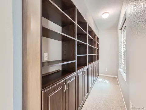 4486 Trailside Loop, Castle Rock, CO 80109 photo 39