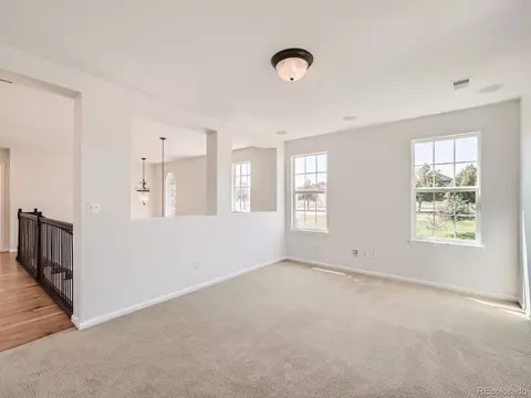 4486 Trailside Loop, Castle Rock, CO 80109 photo 22