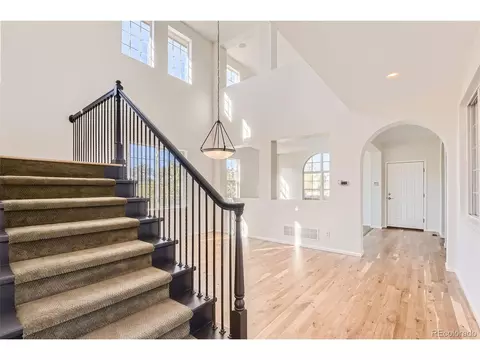 4486 Trailside Loop, Castle Rock, CO 80109 photo 8