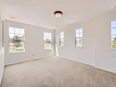 4486 Trailside Loop, Castle Rock, CO 80109 photo 21