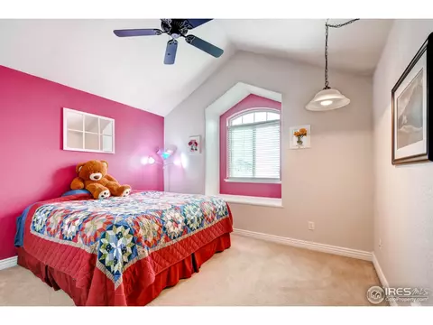 692 Shoshone Ct, Windsor, CO 80550 photo 18