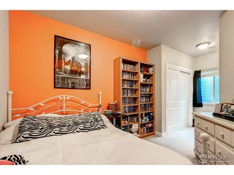 692 Shoshone Ct, Windsor, CO 80550 photo 20