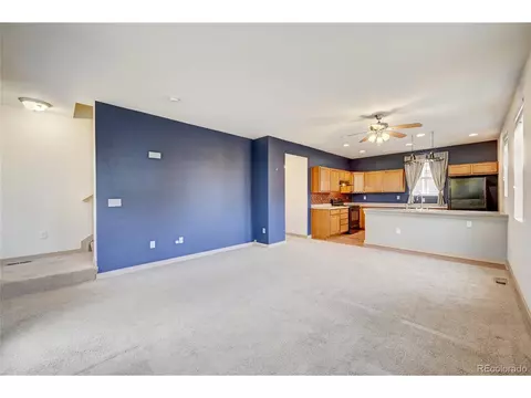 10536 E 29th Dr, Denver, CO 80238 photo 18