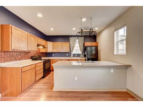 10536 E 29th Dr, Denver, CO 80238 photo 10
