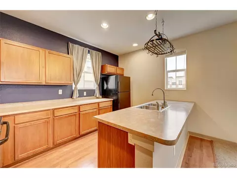 10536 E 29th Dr, Denver, CO 80238 photo 13