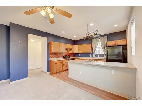 10536 E 29th Dr, Denver, CO 80238 photo 11