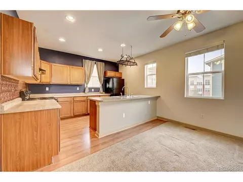 10536 E 29th Dr, Denver, CO 80238 photo 9